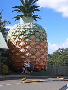 removalists-nambour